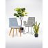 felix_ambiente_homepage