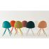 camel_s0069_gruppe_homepage