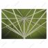 may__albatros_6x6m_lindgrn_schirmgestnge_homepage_1587082335