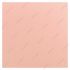 rosa_homepage
