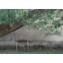 flint_535-a_ambiente_6_homepage